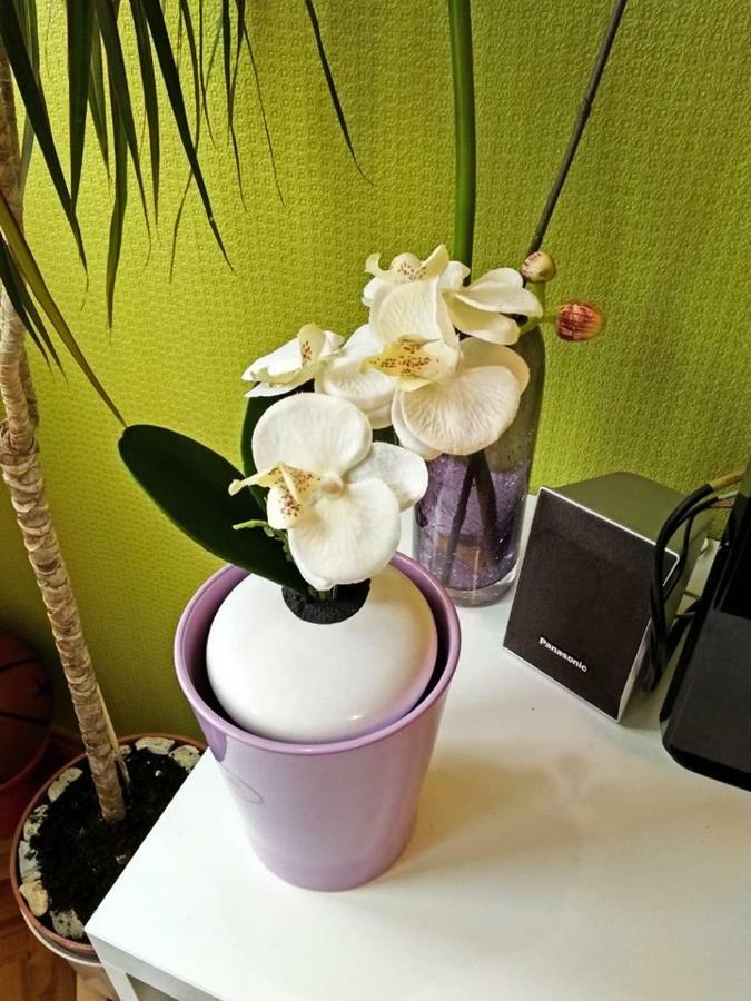 Astonishing View Apartment Сплит Екстериор снимка